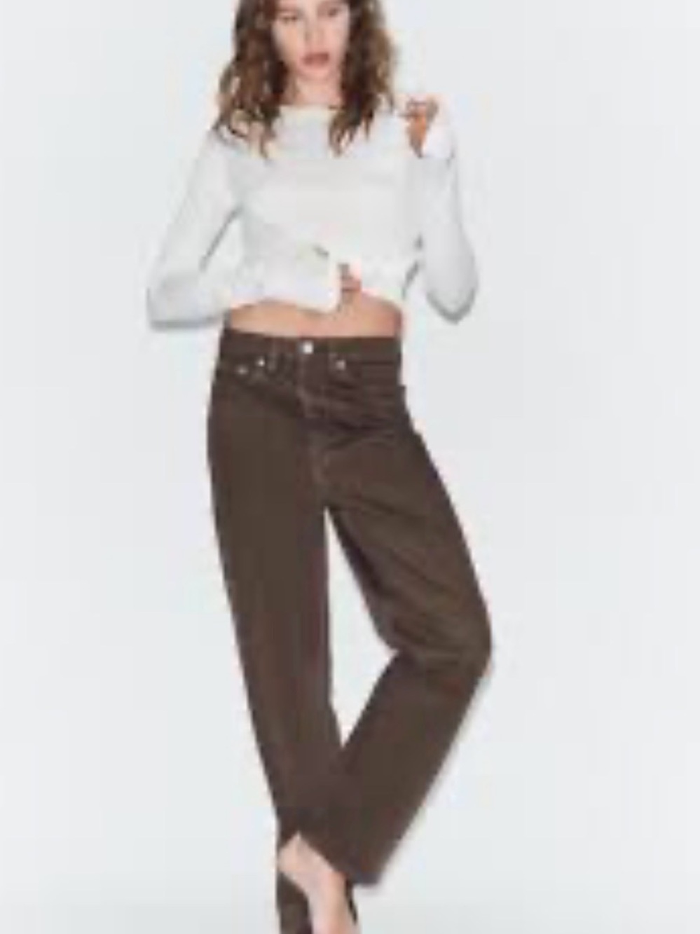 Zara Straight-Leg high rise Jeans in Brown Sz 2 NWOT